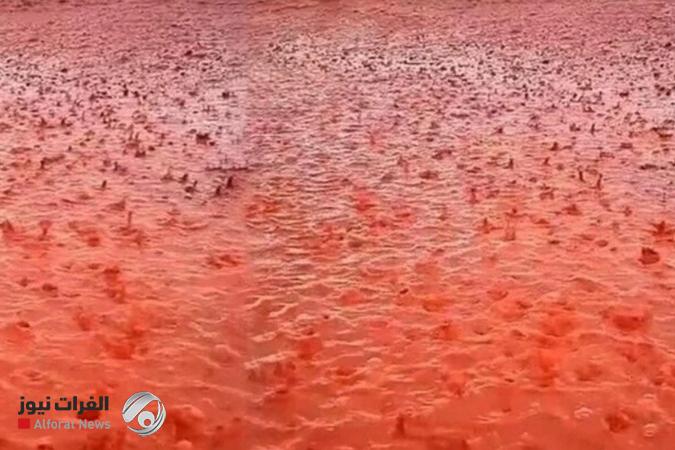 المملكة المتحدة على موعد مع الأمطار الدموية المرعبة خلال أيام