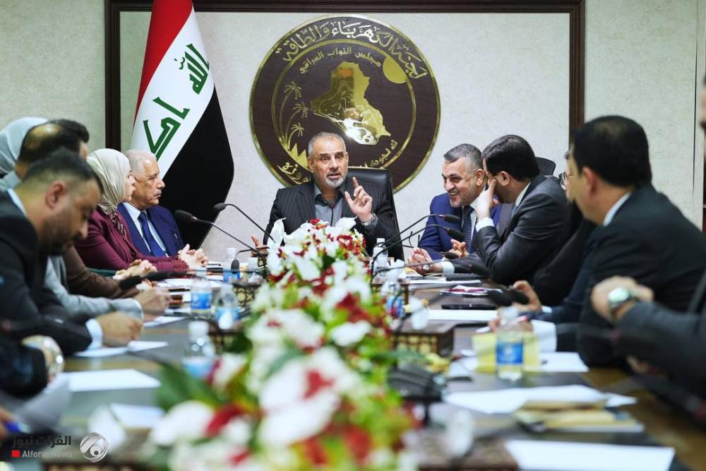 فيحان يبحث تحديات الكهرباء ويؤكد دعم الحلول الواقعية لتعزيز تجهيز الطاقة