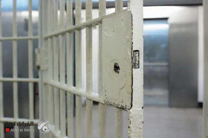 القضاء يكشف عن إحصائية جديدة في العفو العام وعدد المفرج عنهم
