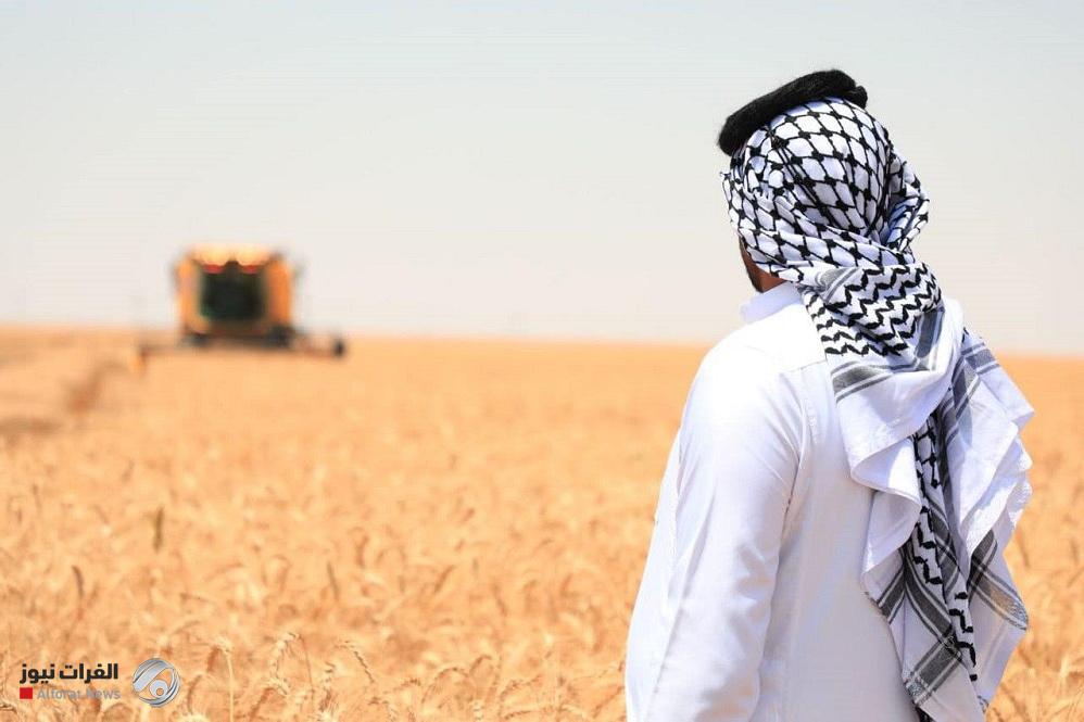 بالوثيقة.. رئاسة البرلمان تفاتح رئاسة الوزراء للتريث في رفع الدعم عن شراء الحنطة من الفلاحين