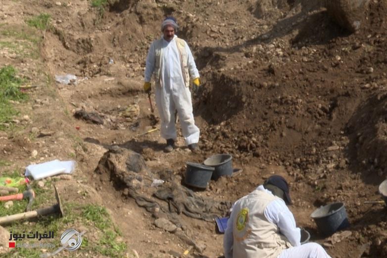 رفات نساء وأطفال بين الضحايا… تفاصيل صادمة من مقابر الموصل