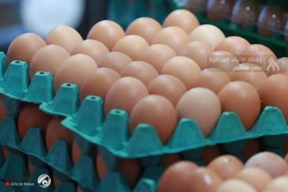 السوداني يوجه بدراسة عاجلة لارتفاع أسعار البيض واتخاذ الإجراءات اللازمة