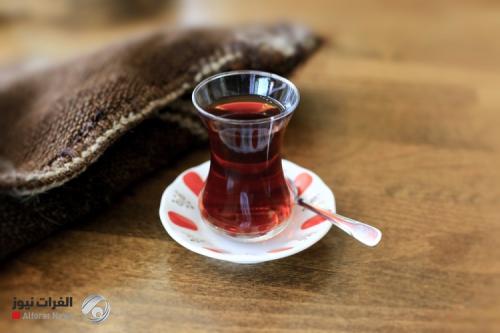 اكتشاف خصائص مضادة للبكتيريا في نوع شائع من الشاي