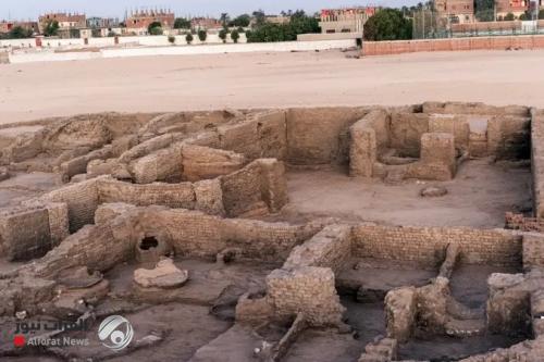 كشف أثري مذهل .. كنوز "شيخ العرب همام" تخرج للعلن