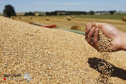 وزير التجارة: توفر خزين استراتيجي من الحبوب والمواد الغذائية لعام كامل