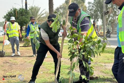 أمانة بغداد تستعد للموسم الربيعي بزراعة أكثر من 200 ألف شجرة