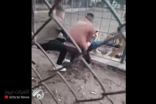 بعد حادثة النمر السيبيري… إدارة حديقة الحيوان بالزوراء توضح ملابسات إصابة زائر