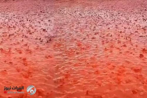 المملكة المتحدة على موعد مع الأمطار الدموية المرعبة خلال أيام