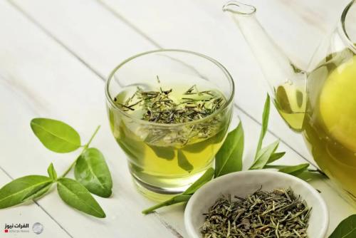 كيف يساعد الشاي الأخضر على تقوية الشعر وتقليل التساقط؟