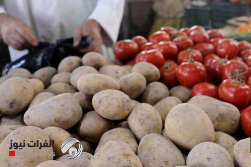الزراعة تفتح باب الاستيراد لخمسة محاصيل