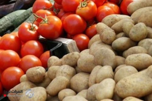 المجلس الوزاري للاقتصاد يعلن فتح استيراد 7 محاصيل زراعية وإيقاف استيراد البيض