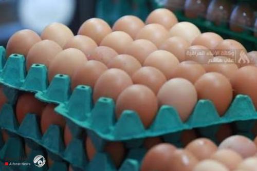 السوداني يوجه بدراسة عاجلة لارتفاع أسعار البيض واتخاذ الإجراءات اللازمة